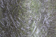 Princethorpe fibreglass roof work